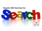 How to Choose the Best Organic SEO Service Provider for Your Industry