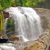 Lakkom Waterfall: A Hidden Paradise in Munnar