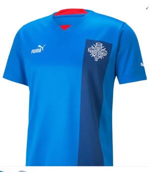 22\/23 Iceland Home Jersey