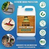 Stain with a Purpose: Transforming Wood Safely with SealItGreen&#039;s Non-Toxic Solutions