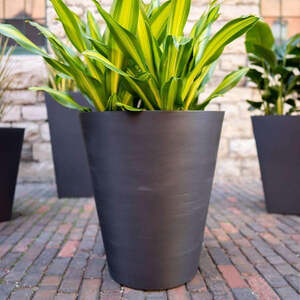 Lightweight Outdoor Pots That Look Great Anywhere