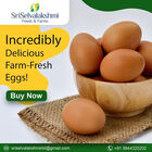 Egg Wholesale Price in Namakkal | Namakkal Egg Suppliers
