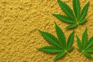 Can Kief Go Bad? Shelf Life and Signs of Degradation