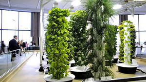 Discover the Future of Gardening with the ALTO GARDEN Hydroponic Tower