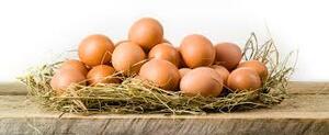 Namakkal Egg Suppliers|Sri Selvalakshmi Feeds &amp; Farms