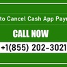 Explore the Step-by-Step Process of Cancel a Cash App\u00a0Payment