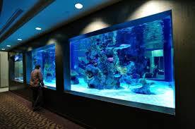 The Importance of Choosing High Quality Acrylic Fish Tank