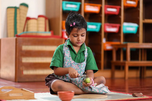 Discover the Best Montessori Preschools in Thoraipakkam: Sharanalaya School