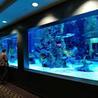 The Importance of Choosing High Quality Acrylic Fish Tank
