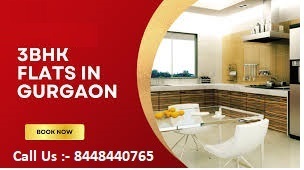 Which is the best location for buying a 2-3 BHK flat in Gurgaon?