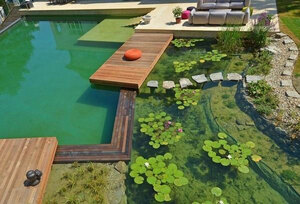 Going Green: The Beauty and Benefits of Natural Pool and Pond Installations