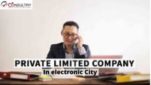 What are the Crucial facts that are of private limited company facing in electronic city? 