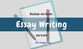 A Closer Look at the Top 6 Essay Writing Services in 2023