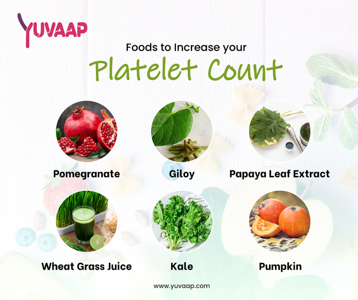 6 Best Foods to Increase Platelet Count
