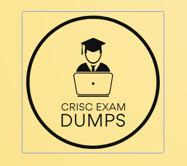 CRISC Exam Dumps  TECHNOLOGY Inside this Salesforce User-Experience