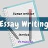 A Closer Look at the Top 6 Essay Writing Services in 2023