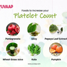 6 Best Foods to Increase Platelet Count