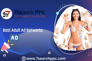 Adult Ad Networks Analysis (Pros and Cons)