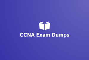 CCNA Exam Dumps exercise examination