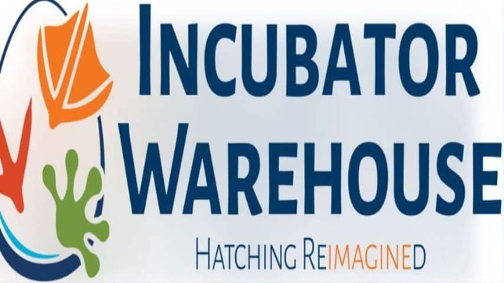 What Are the Key Features of a Good Commercial Egg Incubator?