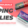 Easy Wholesale Vaping Supplies: USA&#039;s Top Vape Distributor
