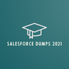 Salesforce Dumps 2021 common commercial enterprise