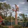The Benefits of Professional Tree Removal Services in Mornington: Ensuring Safety, Preservation, and Excellence