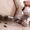 What to Look for in a Pest Control Professional: Some Ideas