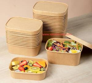  Nature\u2019s Blueprint: Disposable Kraft Box Weaves Sustainability into Seamless Design  