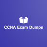 CCNA Exam Dumps exercise examination