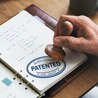 Understanding the Patent Document Translation Challenges