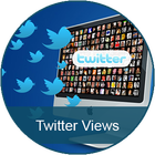 What Are The Advantages Of Buying Twitter Video Views?
