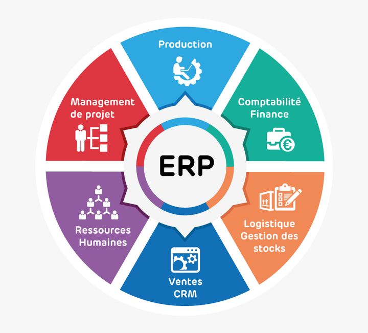 Affordable ERP system development Services