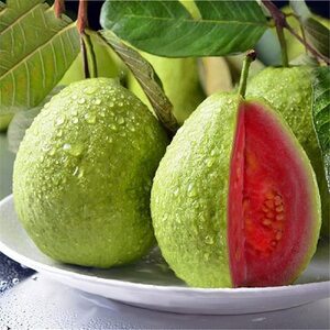 Guava Processing Plant Project Report 2024, Business Plan, Cost and Raw Material Requirements