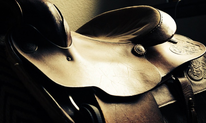 How to Choose the Best Type of English Or Western Saddles For You and Your Horse