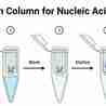 Silica Spin Column for Nucleic Acid Extraction