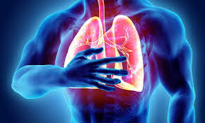 Idiopathic Pulmonary Fibrosis Treatment Market 2022-2027 Size, Share, Growth, Analysis, Trends and Forecast