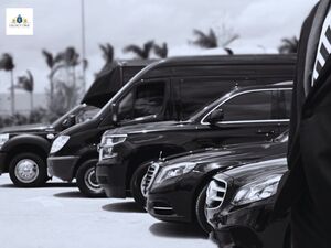  Top 7 Reasons to Book a Luxury Van Rental for Group Transportation in Plano, Frisco, and Richardson
