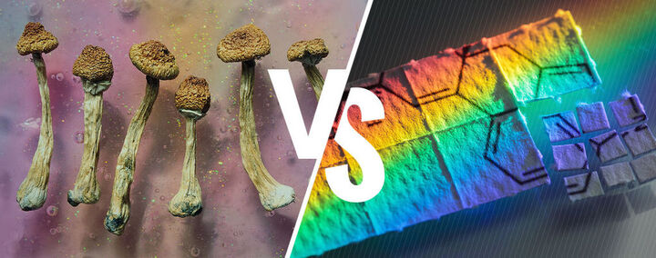 Magic Mushrooms Vs LSD: What's The Difference?
