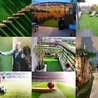 Artificial Grass: The Best Replacement of Real Grass
