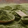 Buy And Use Approved Kratom Powder To Have A healthy body
