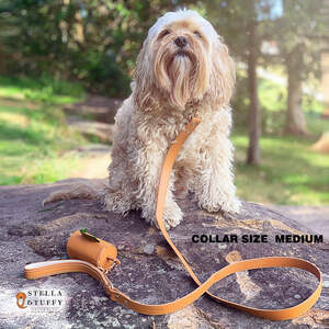 Luxury Dog Collars: A Symbol of Your Unwavering Love