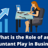 What is the Role of an Accountant Play in Business?