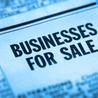 Diverse Portfolio: Varied Businesses for Sale to Suit Every Entrepreneur Introduction