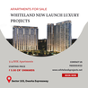 Whiteland Sector 103 Gurgaon: A Comprehensive Overview