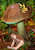 How To Something Your Magic Mushrooms Canada
