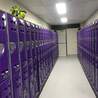 Get Your Hands on Plastic Storage Lockers Available for Sale