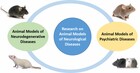 Animal Tests for Emotion-Related Behavior in Rodents