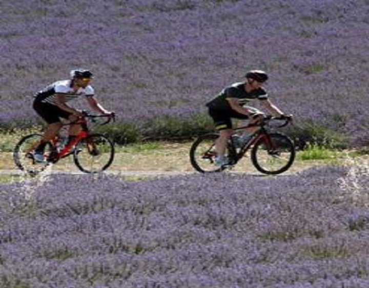 Why choose to organize a cycling holiday?