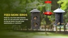 Offer Right Wild Bird Feed To Your Beautiful Backyard Visitors